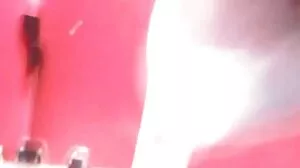 이리와 서양 포르노 배우