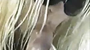 엉덩이 씨발 금발의 베이비 무료 마사지 야동
