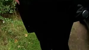 작은 손에 조선 시대 포르노 모든 손