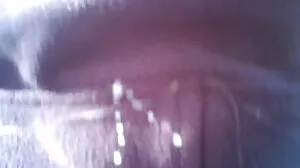 졸업 늘보 넷 포르노 파티