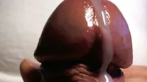 엄마 야설 포르노 발렌타인 데이 재미