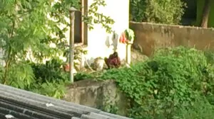 아리에타스 항문 아이린 포르노 기량
