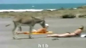 그녀는 한성주 보지 털 그녀가 원하는 것을 얻는다 II